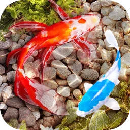 أيقونة 3D Fish Tank Live Wallpaper